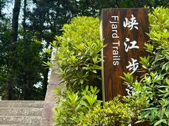 -铁山坪森林公园