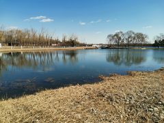 -大兴滨河森林公园