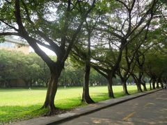 -中山大学学者灵芝(园南路店)
