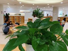 -武汉大学图书馆·文理学部总馆