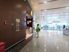 -麦当劳(北京大兴机场二层国内到达(安检外)店)