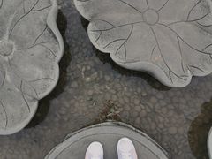 -宝鸡植物园
