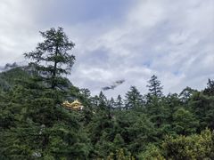 -稻城亚丁景区-冲古草甸