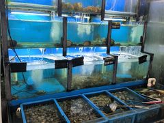 -老东镇啤酒屋海鲜加工·蒸汽海鲜·海鲜烧烤(台东店)