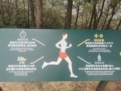 -南山植物园