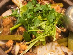 -胡须佬鸡煲四季火锅店(石厦西村直营店)