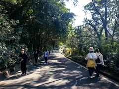 -白云山风景名胜区