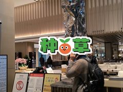 -佘山世茂艾美·御珍轩中餐厅