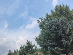 -草原天路(张北县)