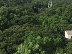 -普陀山佛顶山索道