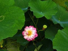 -沐仙湖湿地公园