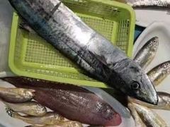-开鑫鱼厂·宁波海鲜(前程智慧城店)