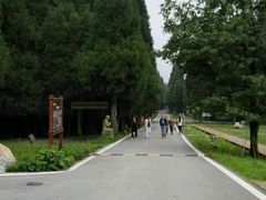 -武陵山森林公园
