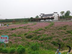 -武汉紫薇都市田园