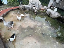 -造物庄园 萌宠纪(苏州湾歌林公园店)