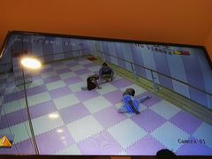 -桃子公主舞蹈培训(万柳校区)
