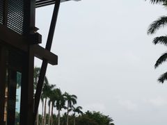-三亚亚龙湾红树林度假酒店