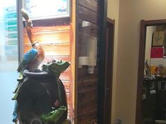 -竹雀古法采耳(青岛麦凯乐店)