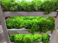 -北国超市(天河店)