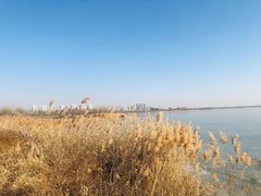 -天津东丽湖风景区