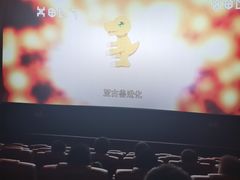 -卢米埃影城(长楹天街IMAX激光店)