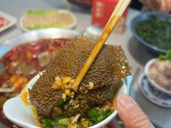 -渝大龙重庆火锅(温泉月亮湾店)