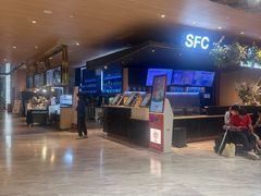 -SFC上影影城(港汇永华IMAX激光店)