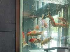 -浩运海鲜·16年专注青岛菜(石老人店)