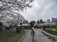 -堤角公园