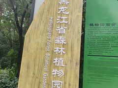 -黑龙江省森林植物园
