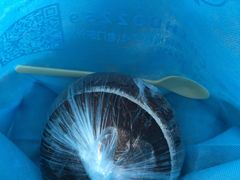 -志龙皇冠吃货椰子铺