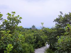 -北京西山国家森林公园