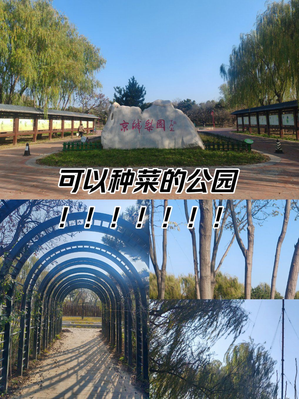 北京小众公园图鉴——京城梨园