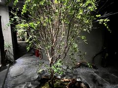 -森SPA·泰式按摩·精油Massage(宝安中心店)