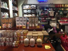 -猫咪博物馆(顶澳仔猫街店)