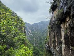 -天台山琼台仙谷景区