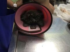 -天津前进宠物医院(前进道店)