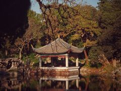 -叶家花园