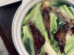 上汤菜心-新灿记大酒楼