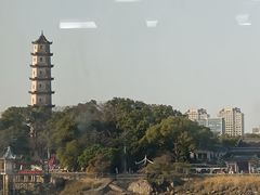 -江心屿景区