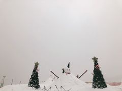 -西岭雪山大飞水景区