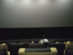 -百美汇影城(LUXE嘉里中心店)