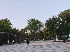 -合肥滨湖国家森林公园