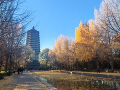 -玲珑塔公园