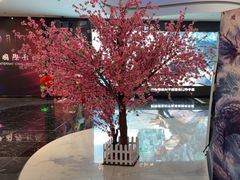 -春天国际影城(中庚漫游城杜比全景声店)