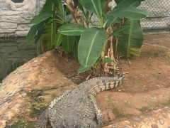 -石家庄市动物园