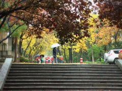 -山东师范大学(千佛山校区)