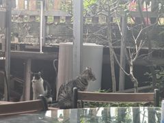 -洞背山庄(洞背院区式管理小区店)