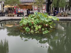 -百花洲