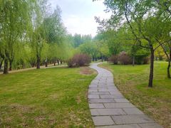 -长春公园(普阳街道)